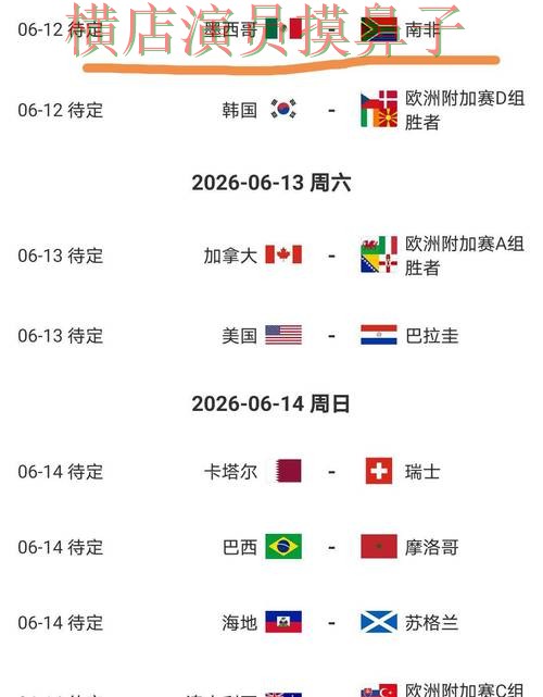 世界杯投注平台合集整理：用户反馈+直播全指南 - World Cup 2026